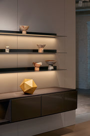 Icosahedron — Wooden Form